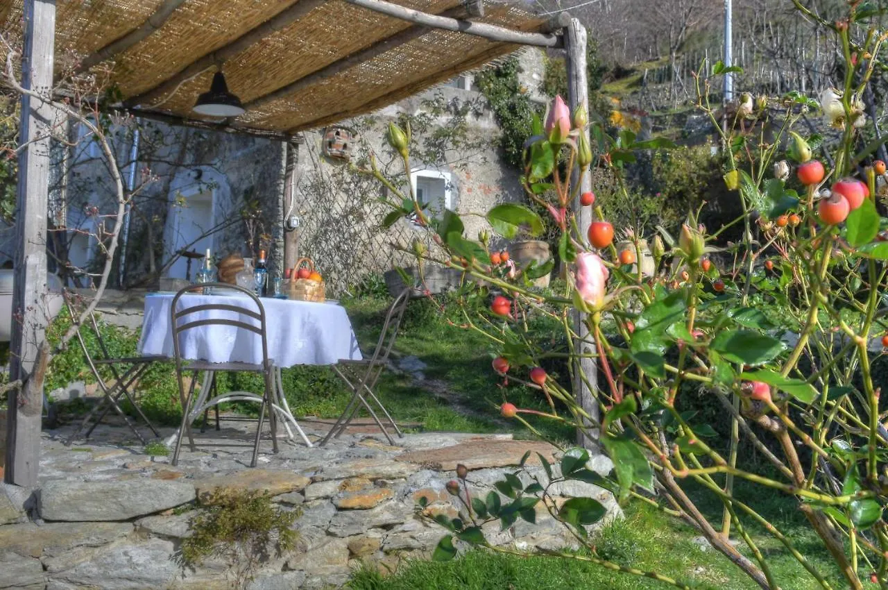 Antica Casa Del Canto Iara - Private Parking Calice Ligure Holiday home